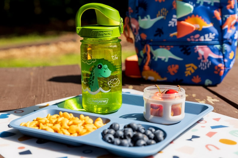 Nalgene product image: 12oz On-The-Fly Kids Lock-Top Bottle with Graphics K5 — 12oz On-The-Fly Kids Lock-Top Bottle with Graphics
